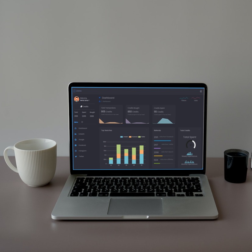 Leadsfizz application dashboard